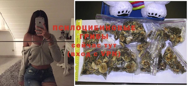 прущий лед Ладушкин