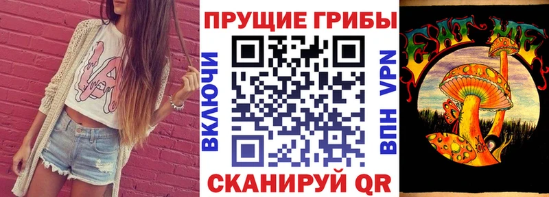 shop какой сайт Михайловка Псилоцибиновые грибы MAGIC MUSHROOMS