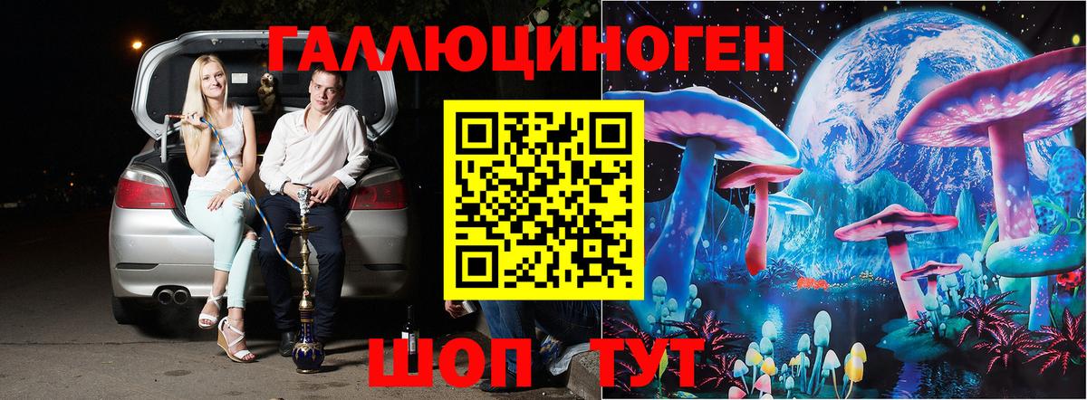 Галлюциногенные грибы прущие грибы  Псилоцибиновые грибы Psilocybe  Михайловка  Вход с VPN 