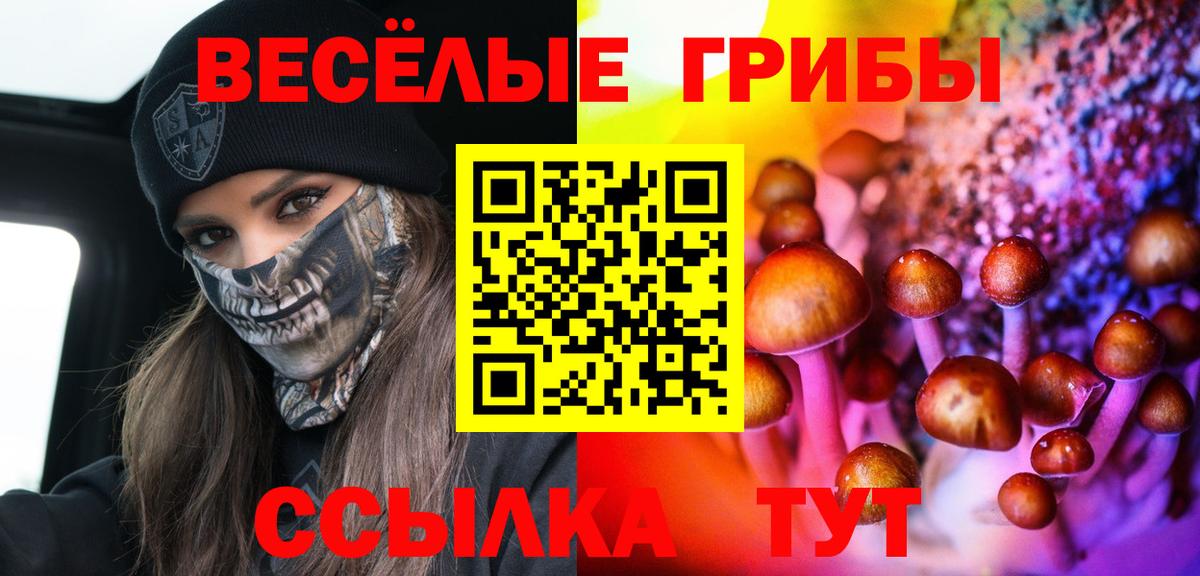 Псилоцибиновые грибы MAGIC MUSHROOMS Михайловка